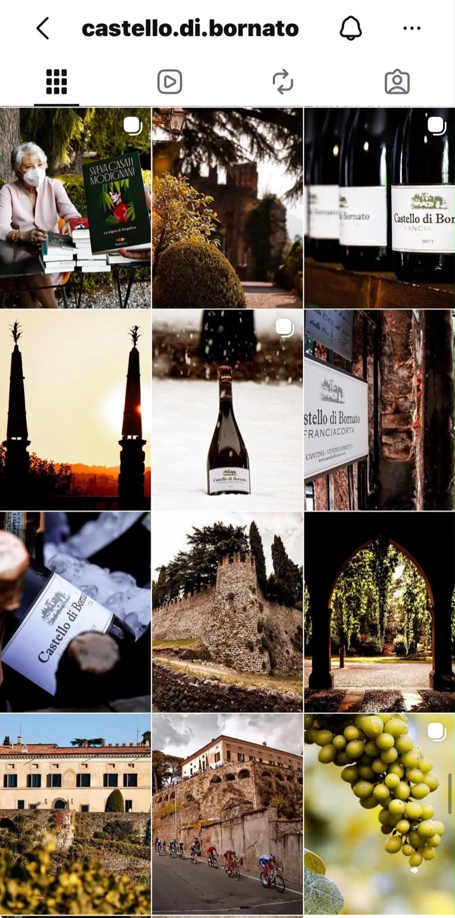 Feed Instagram del Castello di Bornato prima della collaborazione